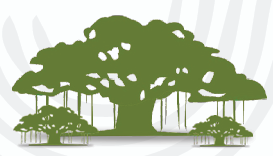 Tree Plantation
